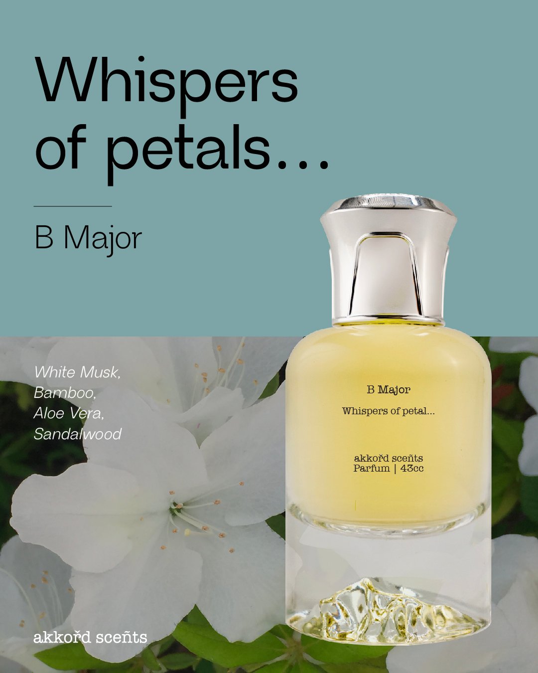 B Major 43cc (P) - Image 2