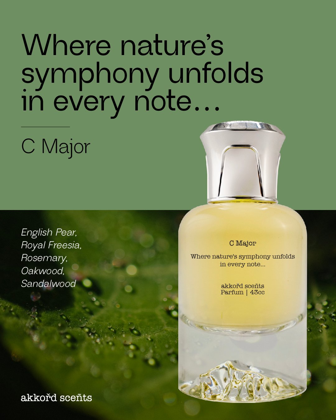 C Major 43cc (P) - Image 2