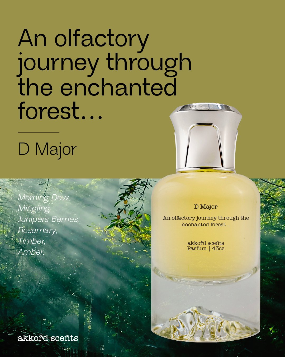 D Major 43cc (P) - Image 2