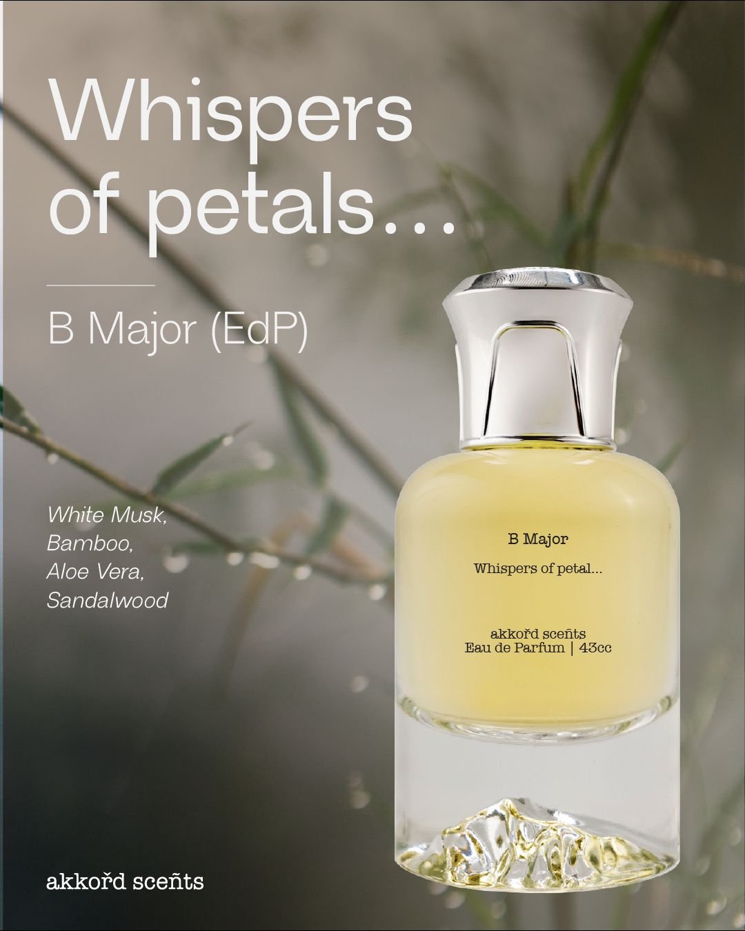 B Major 43cc (EDP) - Image 2