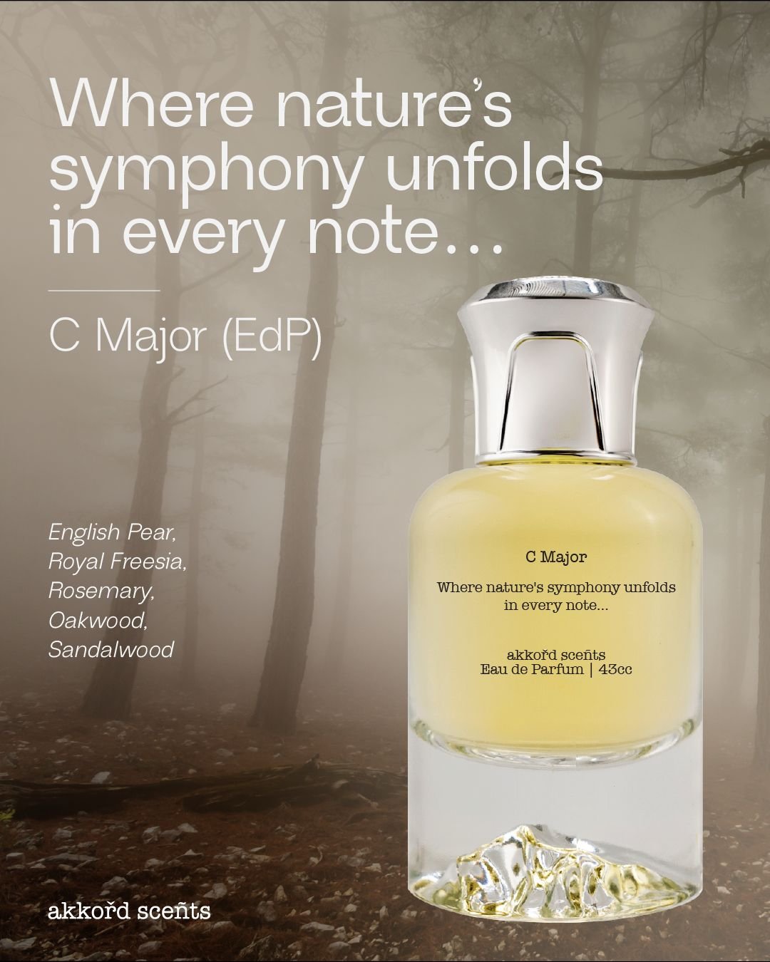 C Major 43cc (EDP) - Image 2