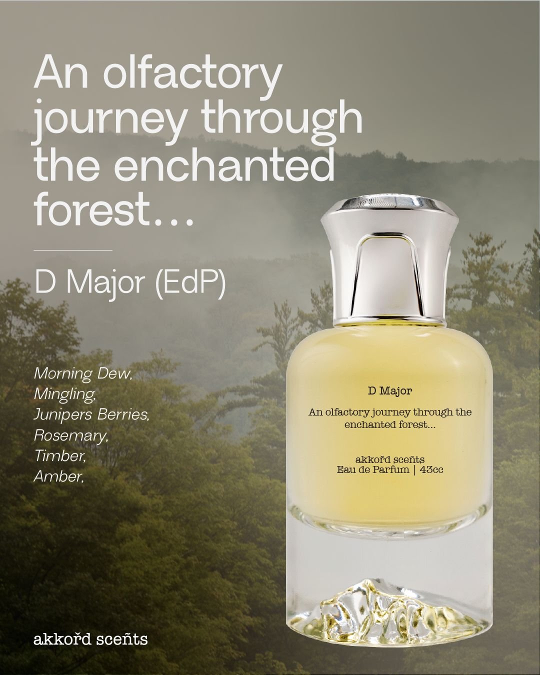 D Major 43cc (EDP) - Image 2