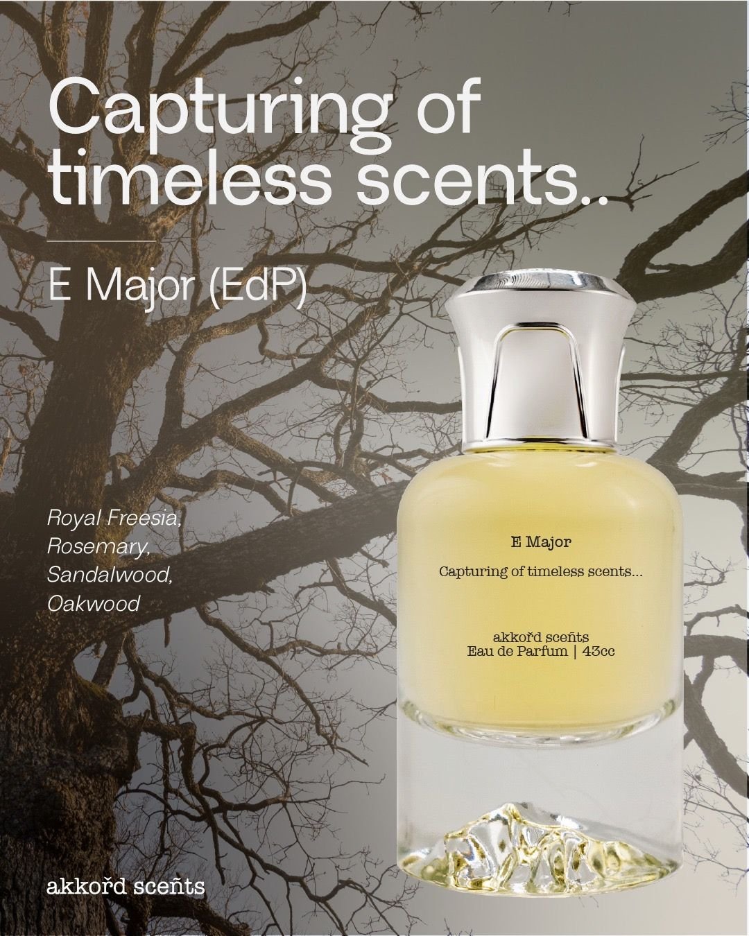 E Major 43cc (EDP) - Image 2